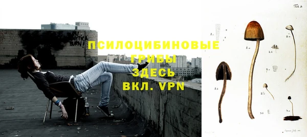 ГАЛЛЮЦИНОГЕННЫЕ ГРИБЫ Одинцово