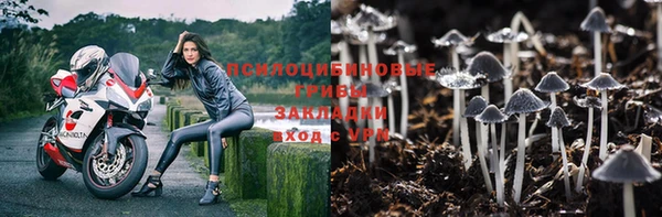 ГАЛЛЮЦИНОГЕННЫЕ ГРИБЫ Домодедово