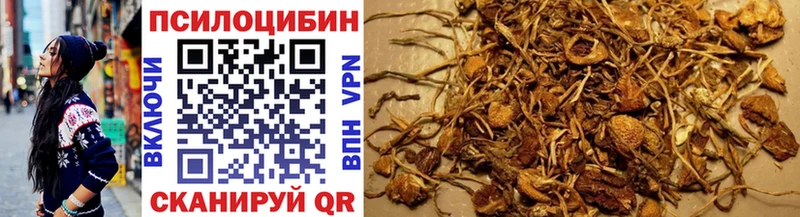 Псилоцибиновые грибы мицелий  наркота  Асбест 