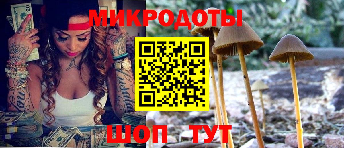 Псилоцибиновые грибы прущие грибы Асбест