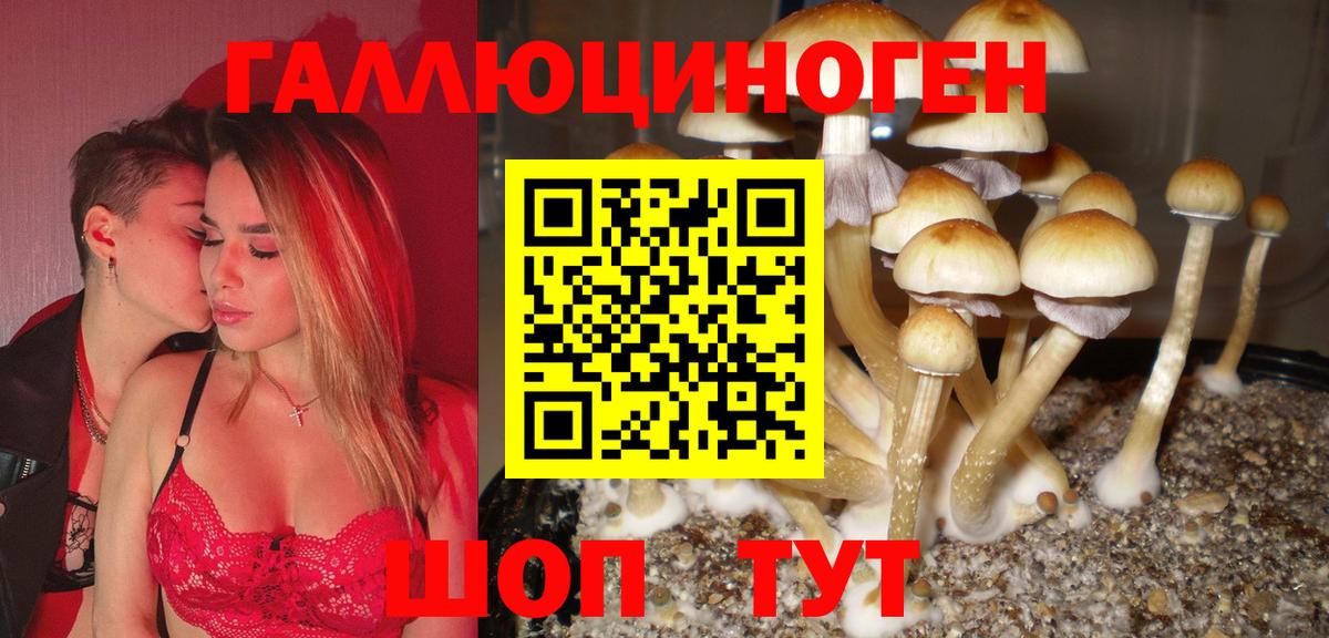 Псилоцибиновые грибы MAGIC MUSHROOMS  Псилоцибиновые грибы MAGIC MUSHROOMS  Вход с VPN  Асбест 